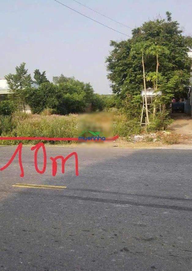 Bán 1.018m2 đất mặt tiền đường đh sát kcn an linh 1.000ha giá chỉ 800 triệu - 3