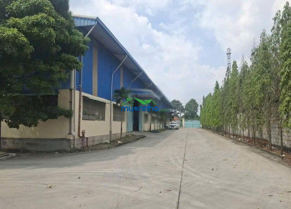 Cho thuê xưởng tân định bến cát, bình dương tp hcm vị trí thuận tiện, xe container ra vào dễ dàng - 3