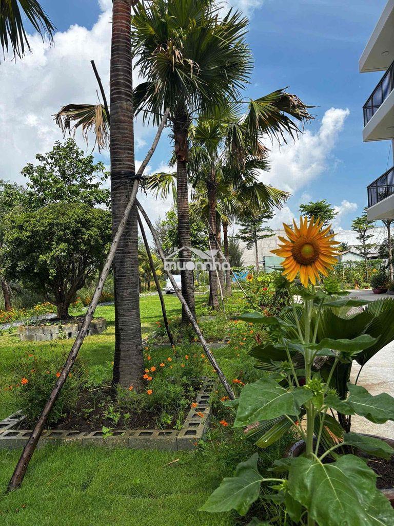 Mặt bằng sân vườn 4.000m2 - 4