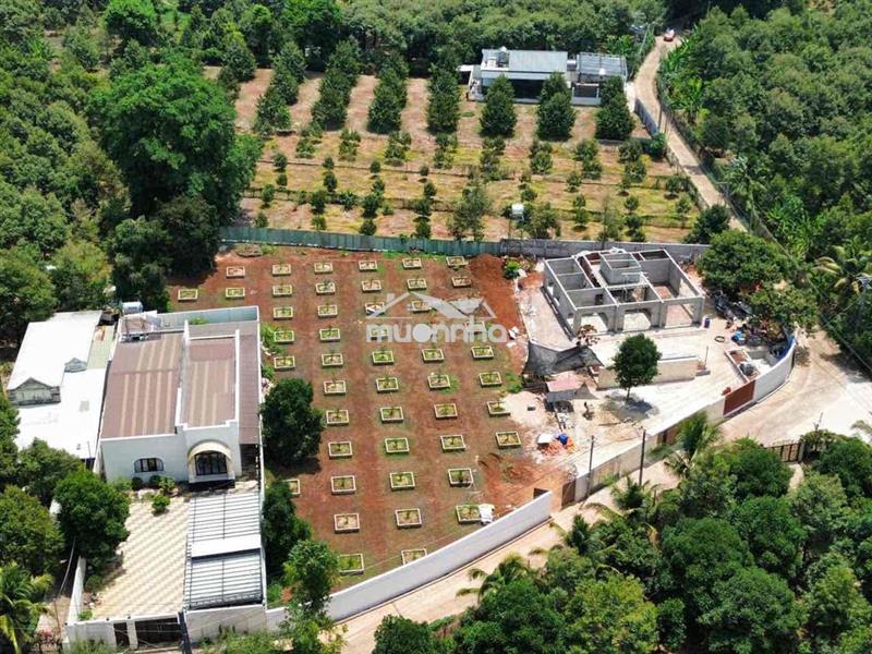 Bán đất vườn trái cây p. xuân lập - long khánh