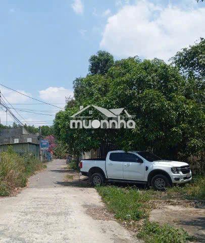 BÁN ĐẤT THỔ CƯ QL51 AN PHƯỚC, LONG THÀNH - ĐƯỜNG NHỰA Ô TÔ