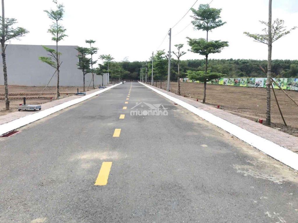 Thua bóng đá bán gấp đất thổ cư an viễn 600tr - 2