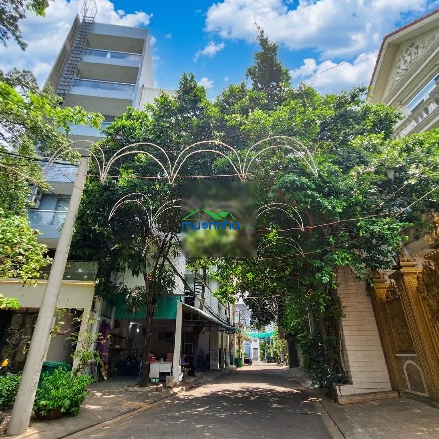 Hxh thoại ngọc hầu tân phú, căn góc 75m², 4.5x17m x 3 tầng, sát go! phú thạnh chỉ 8.2 tỷ. - 2