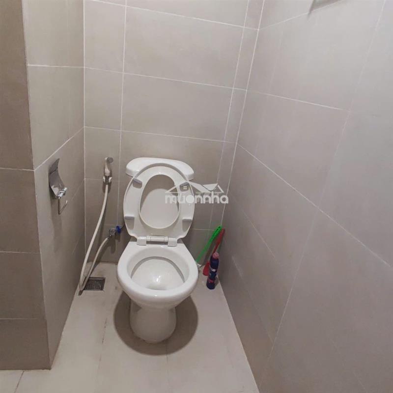 Cho thuê chung cư khu vực cát lái