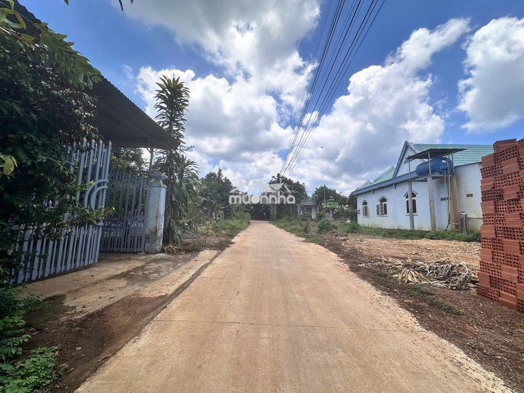 Đất full thổ cư 155m2, sổ hồng riêng, đường bêtông ô tô, gần hồ trị an - 2
