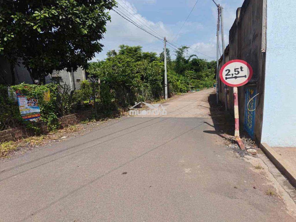 "10km đến sân bay long thành – sổ riêng chỉ 420 triệu!" - 2