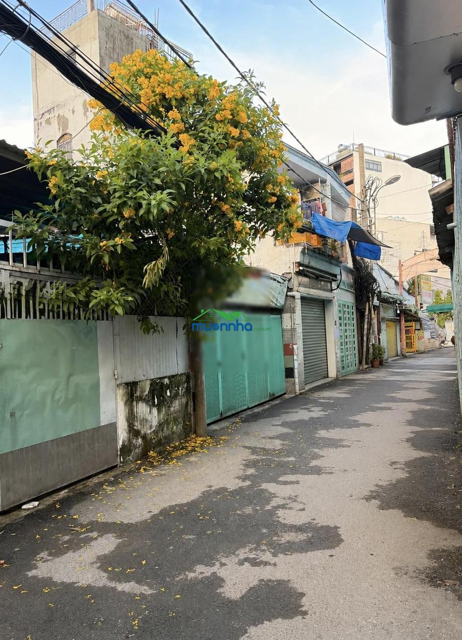 226m2 mt kd 6m - ngay nguyễn văn công - gần bv 175, diện tích khủng, nở hậu, p3, gò vấp - 26ty5