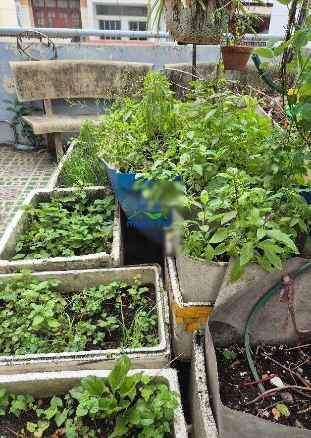 Hxh thông tranh bình thới - q11 - 67m² - nở hậu 5,6m - 4 tầng - 6pn - hơn 9 tỏi tl - 4