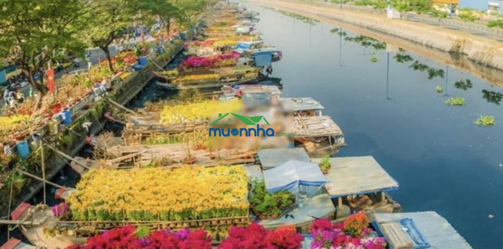 Gần tttm d aqua - 68m² nhà 2t kiên cố ngang 5.3m chỉ hơn 5 tỷ - 3