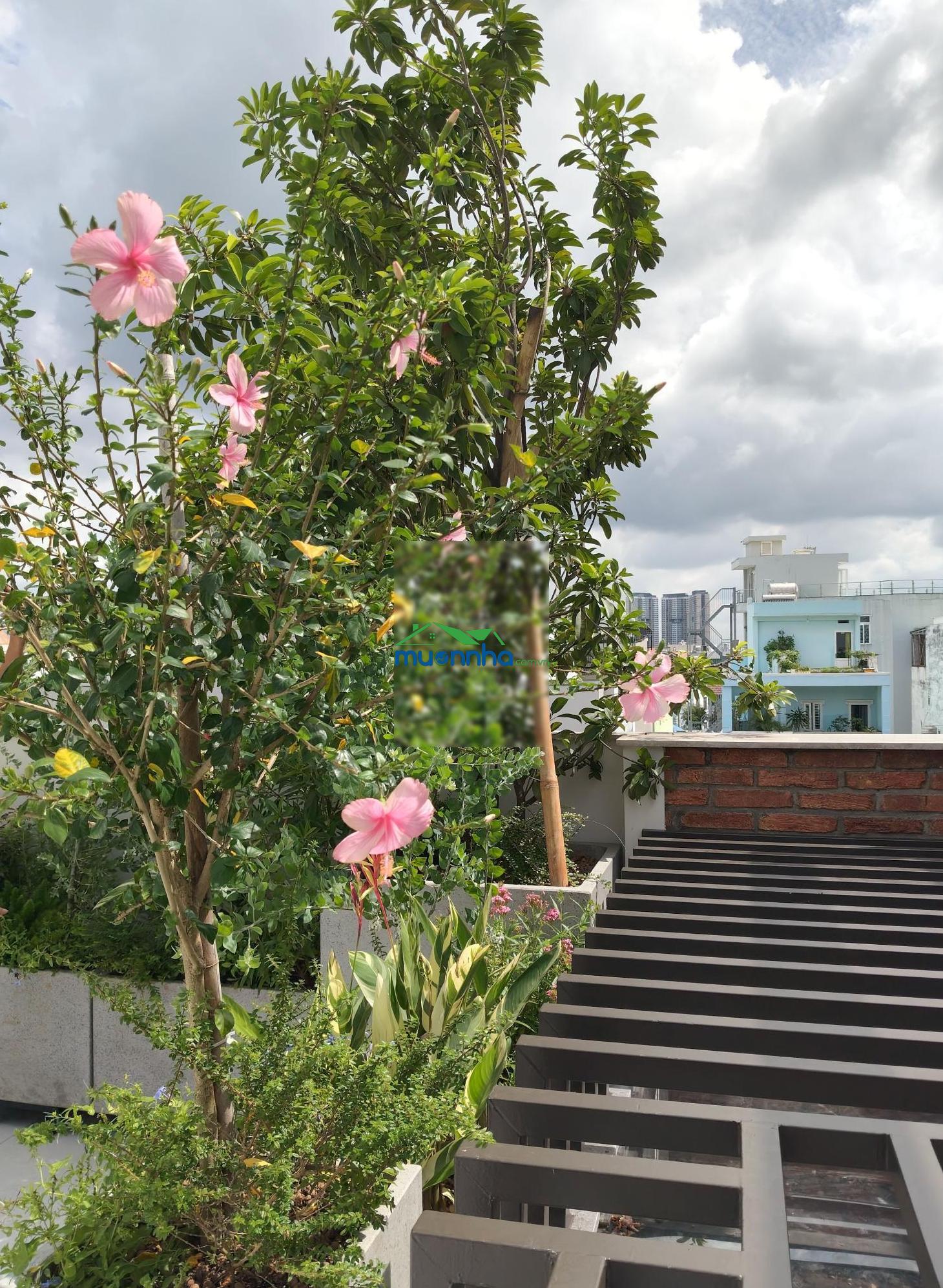 Nhà đẹp như villa mới hoàn thiện có thang máy, tặng full nội thất sang trọng xách valy vào ở ngay - 2