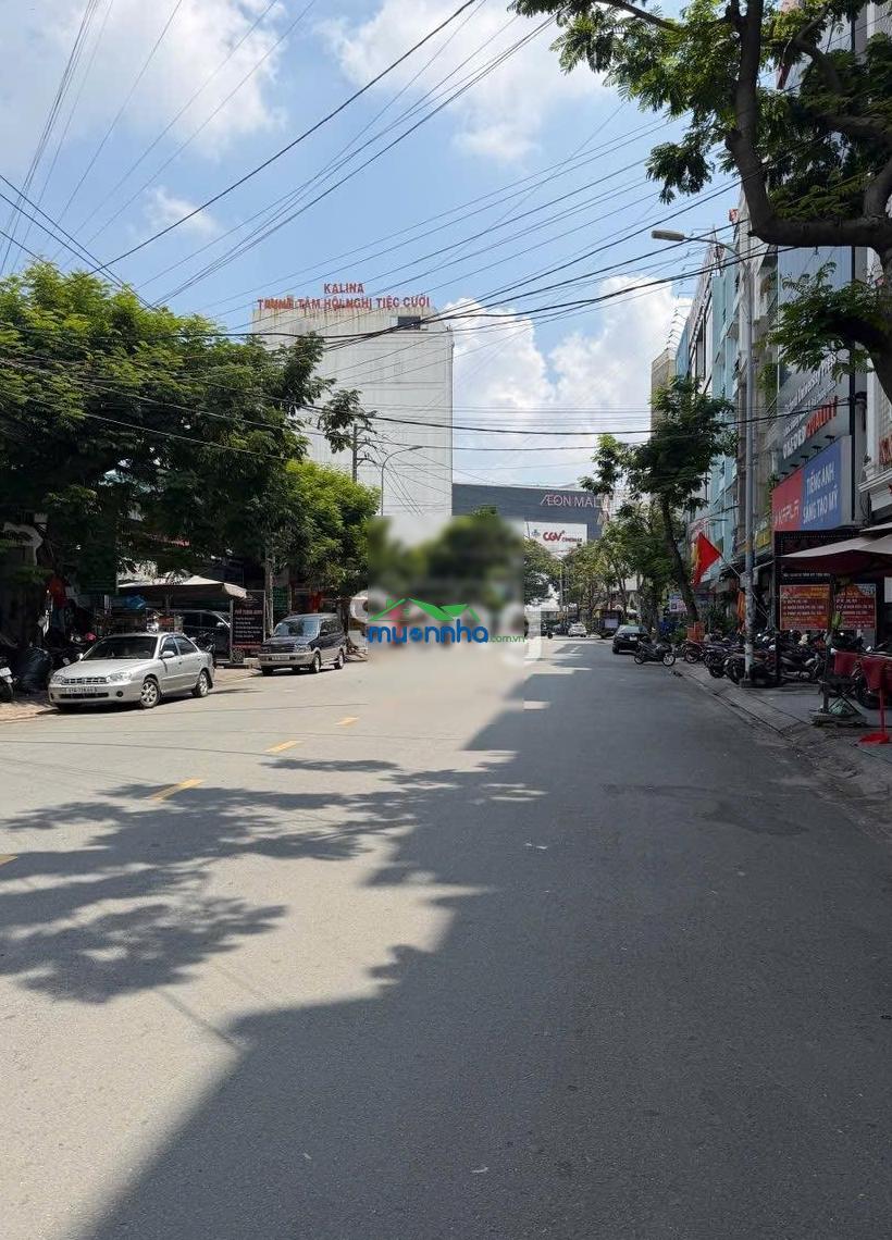 Đất vàng 5.5x24m sát aeon tân phú, đường 25m, sau mặt tiền tân kỳ tân quý - 2
