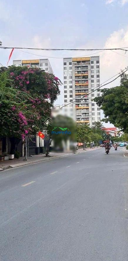 Nhà 4 tầng 5x25m, mặt tiền đường kinh doanh vip 12m có lề 6m khu biệt thự an lộc p. an hội đông - 2