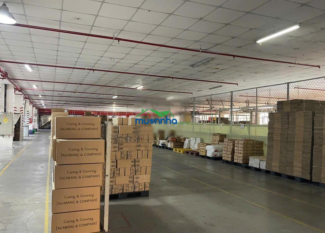 Cho thuê kho xưởng 2000m2 kcn sóng thần dĩ an pccc tự động giá 200 triệu/tháng - 2