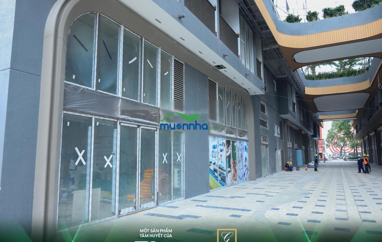 Căn hộ cao cấp green square cạnh go dĩ an, làng đhqg tphcm