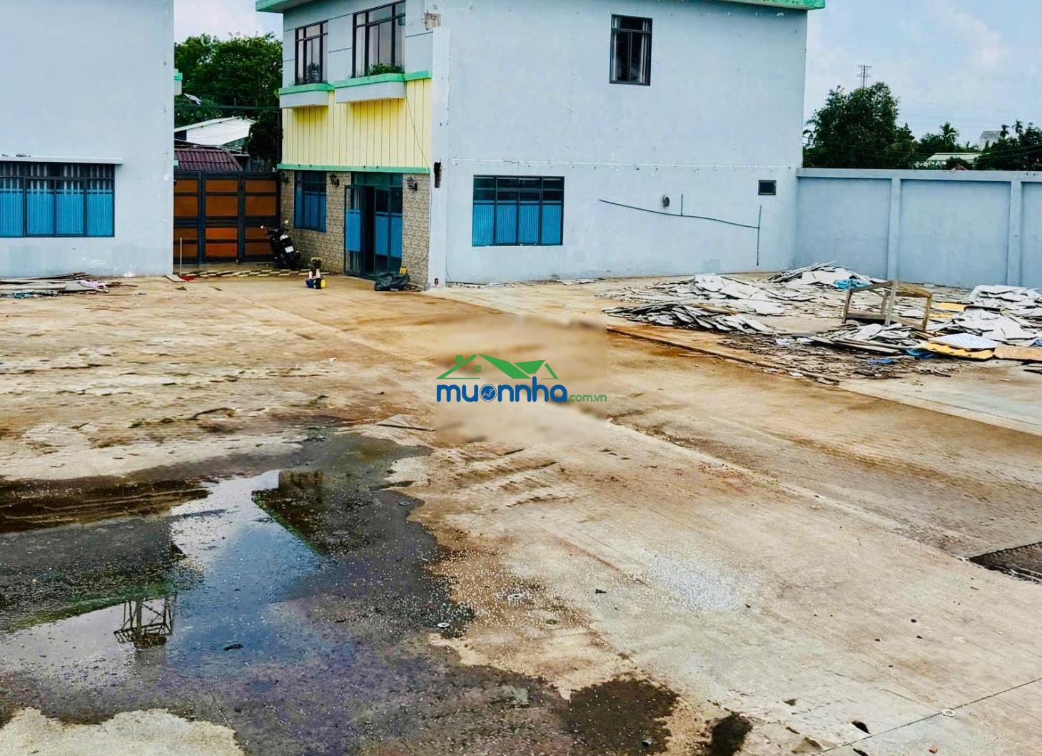 Bán gấp đất lớn full thổ cư có sẵn nhà giá cực tốt - củ chi - 4