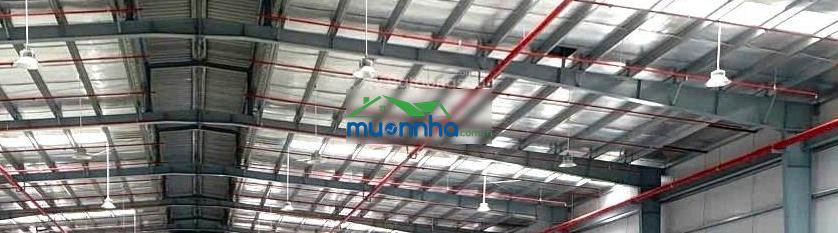 Nhà xưởng tổng 19.580m², cắt lẻ cho thuê từ 2000m² - 1ha, gần sát kcn sóng thần 2. vsip 1