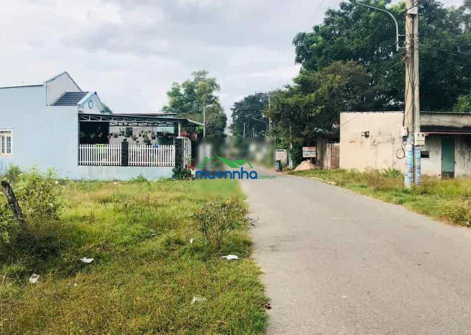 Đất ngộp (12x40)=480m² sổ riêng, thổ cư, sát chợ, đường nhựa 12m giá 660tr - 4