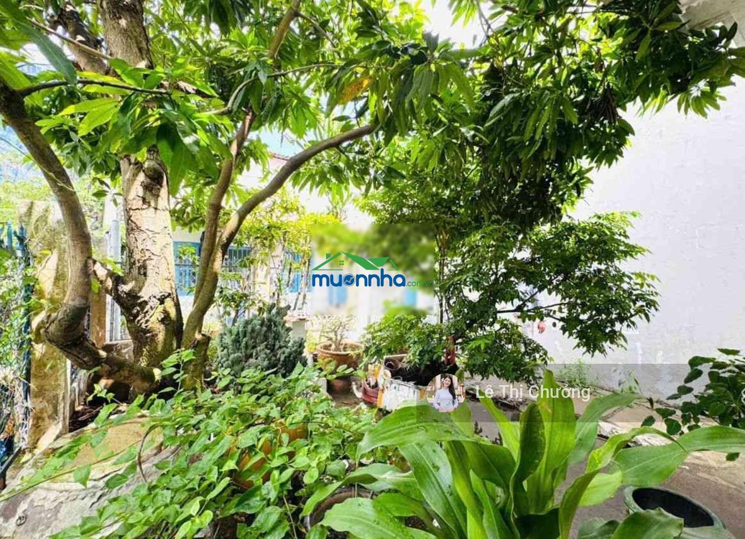 Bán gấp nhà cấp 4 quận 7, 167m² ngang khủng 10m dài 27m nở hậu 14m, sân vườn đẹp, chỉ 8 tỷ - 3