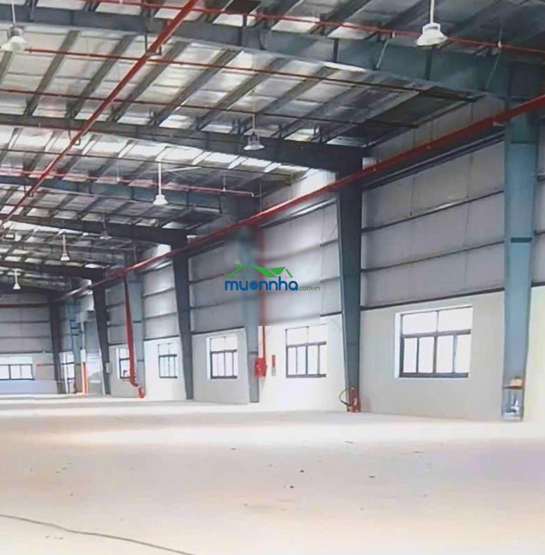 Nhà xưởng tổng 19.580m², cắt lẻ cho thuê từ 2000m² - 1ha, kế kcn sóng thần 1 2, vsip 1 thuận an - 3