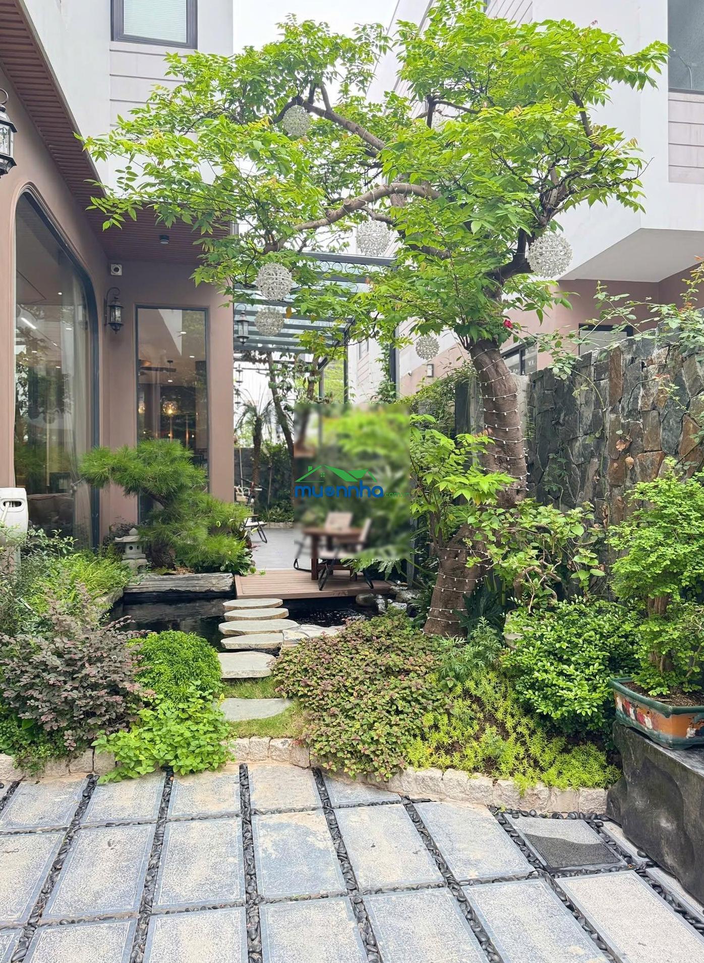 Rẻ hơn biệt thự song lập hơn 4 tỷ nhưng diện tích sử dụng còn lớn hơn - 4