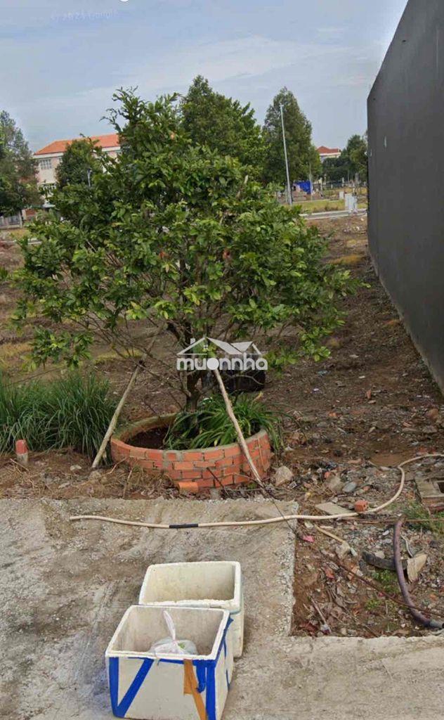 Chính chủ cần tìm người mua