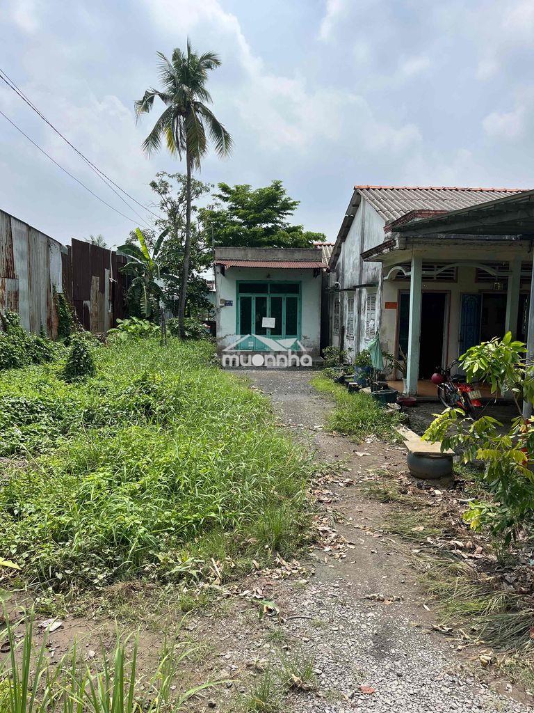 Bán nhà cấp 4 bình chánh 169m2 sổ riêng
