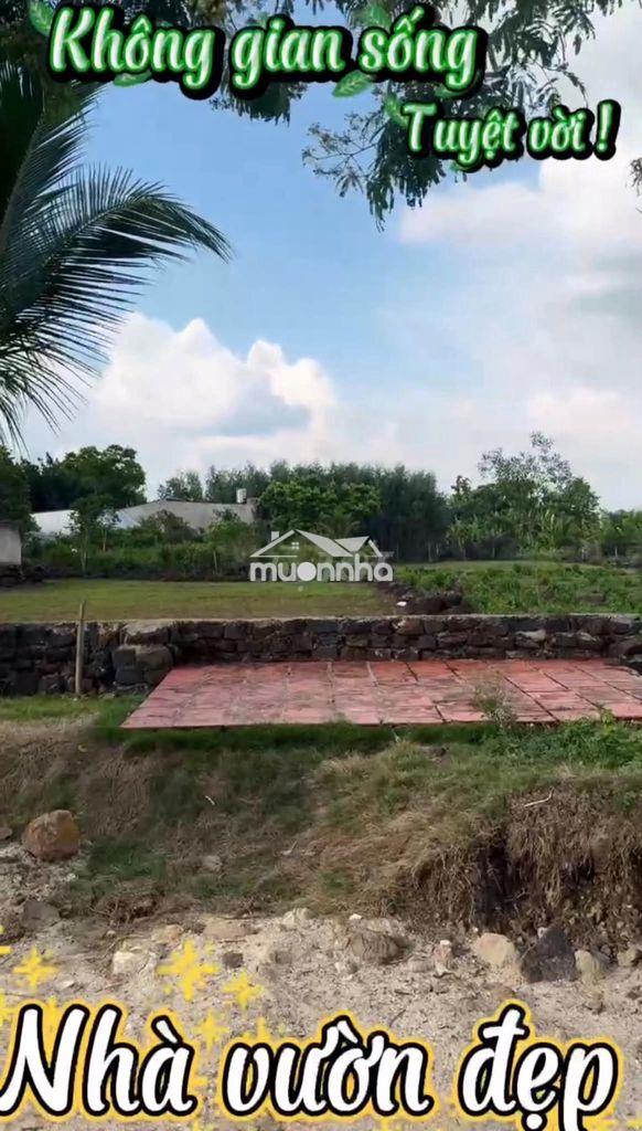 Nhà vườn 800m2 phú hòa đồng nai 1ty300 - 3