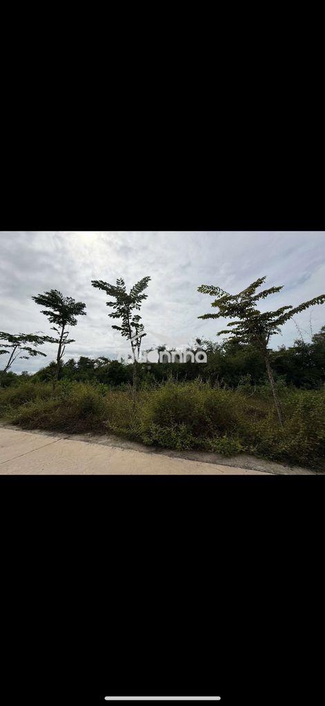 Đồng nai e thanh lý lô đất,đường ô tô,thổ cư.giaol