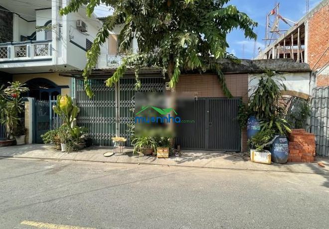 Mặt tiền tiền lân 15 - bà điểm - hóc môn sát ql1a 60m chỉ 3 tỷ - 3