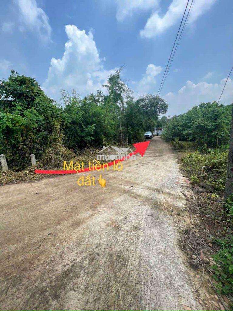 BÁN ĐẤT ĐẦU TƯ GIÁV650 TR