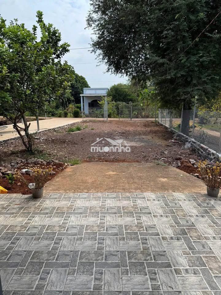 Đất vườn thổ cư 150m2 ngang20m2 giá 980tr bình lộc long khánh đồng nai