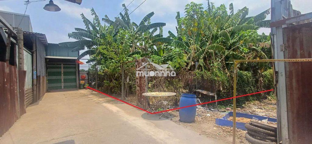 Đất có sổ riêng rẻ hơn vi bằng, 15x13, chỉ 8.6tr/m² - 3