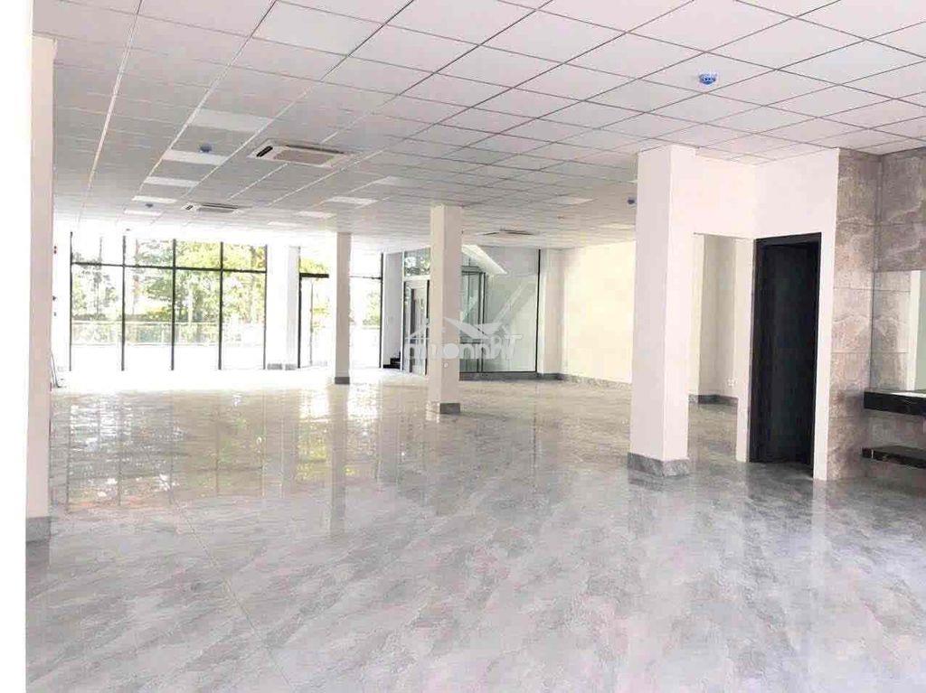 Cho thuê toà nhà mới 100% tt thủ dầu một- bình dương - diện tích đất - 3