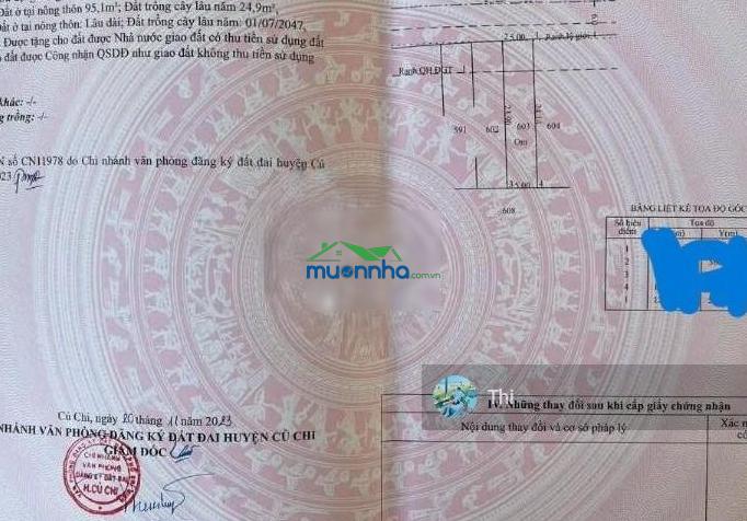 Bán căn trọ 5 phòng 120m2 ngay kcn tây bắc tân an hội, củ chi, thu nhập 7 triệu, sổ hồng riêng - 4