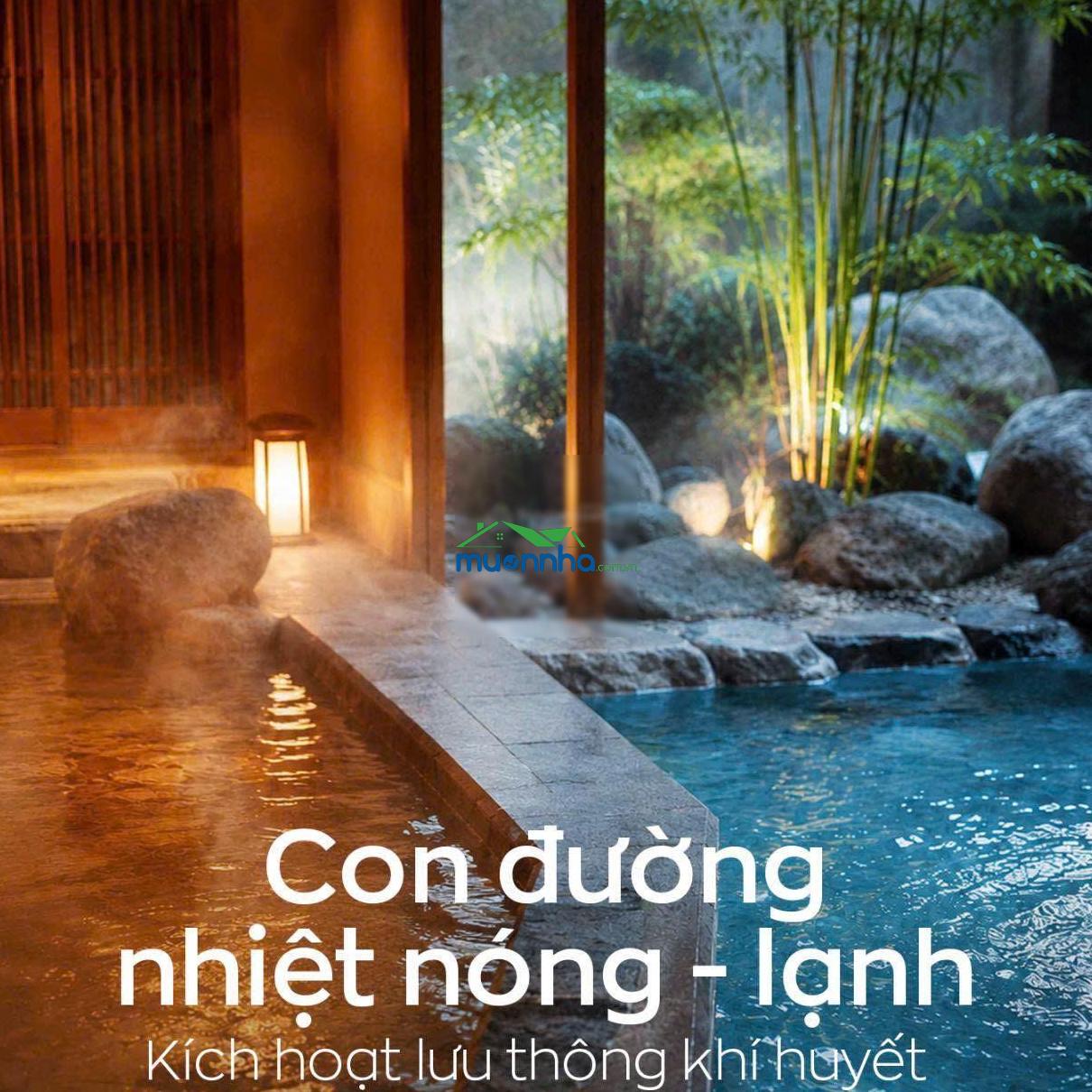Mua monrei saigon trực tiếp từ cđt mitsubishi ngay gđ1, anh chị nhận chiết khấu lh em nga
