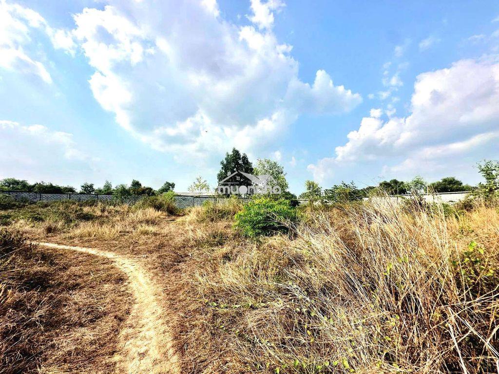 Bán rẻ 4800m2 đất hố nai, đồng nai, 2 mặt đường rộng 6m sổ hồng thổ cư - 2