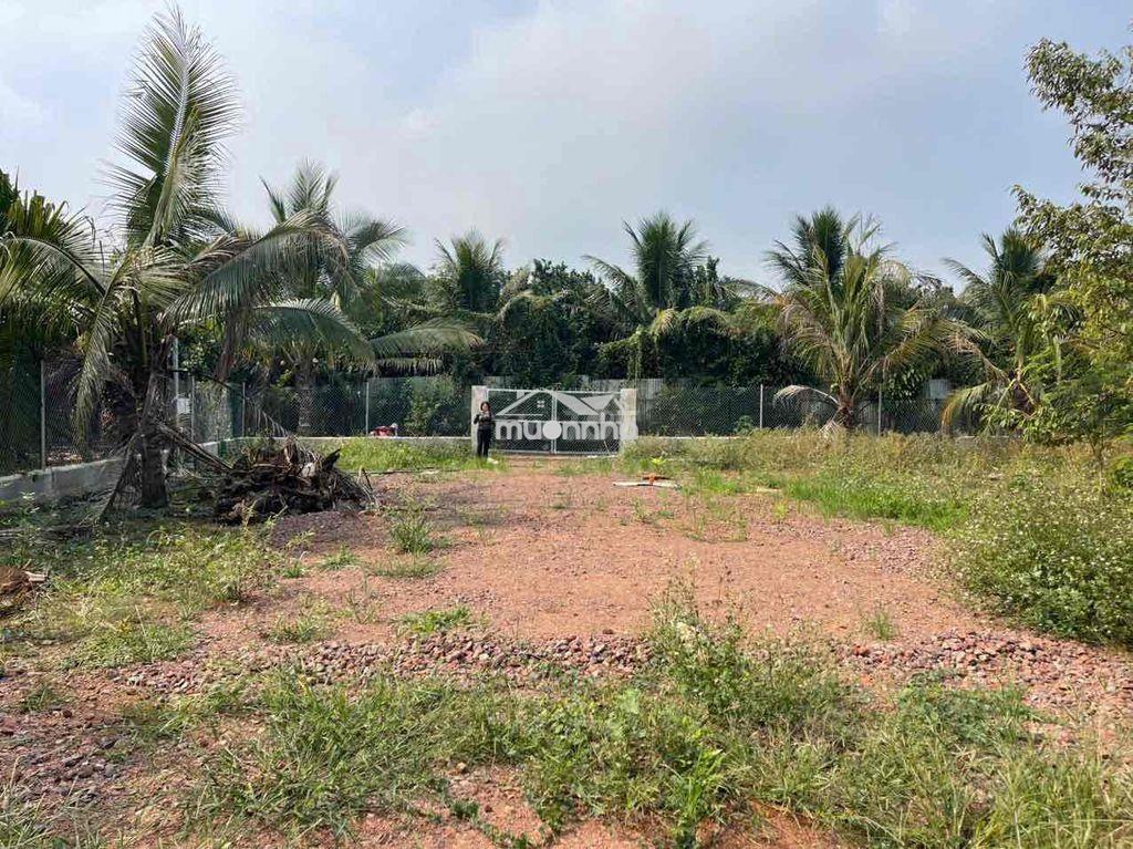 Bán 500m2 có thổ cư giá ngộp long khánh - 4