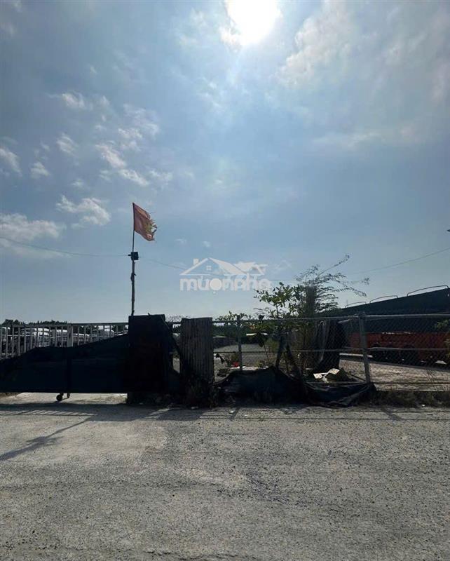 Cho thuê đất nguyễn hữu thọ,  1.000m² – làm bãi xe, tập kết hàng