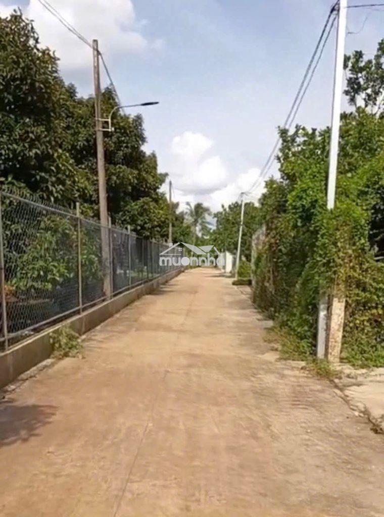 Đất vườn 2000m2 có nhà cấp 4 giá 1 tỷ bảo vinh long khánh đồng nai - 3