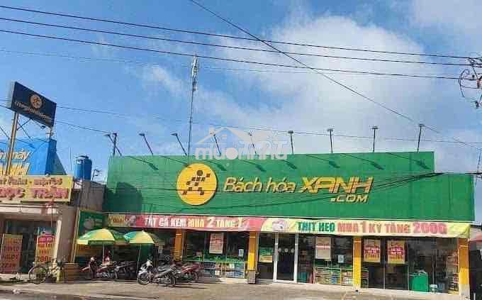 Đất chủ ngột giá - 3