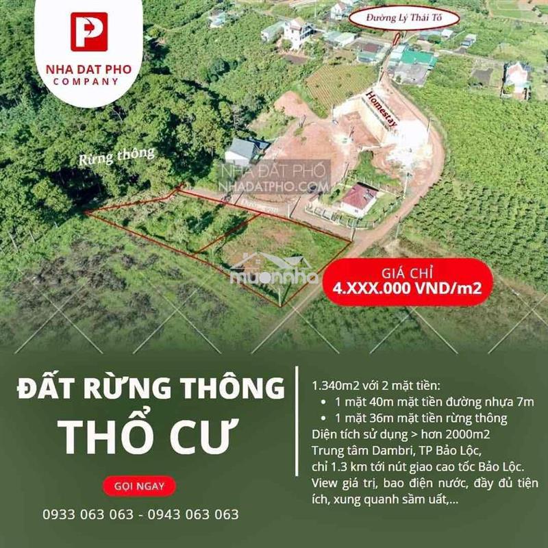 Bán 1.343m2 (1.35 xào)  ngang 40x35 m trung tâm dambri tp bảo lộc