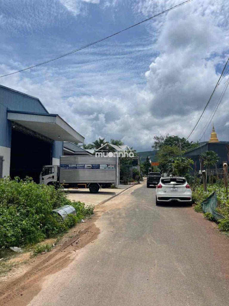 Bán nhà kho 480m2 ngay ql20 đức trọng - 2