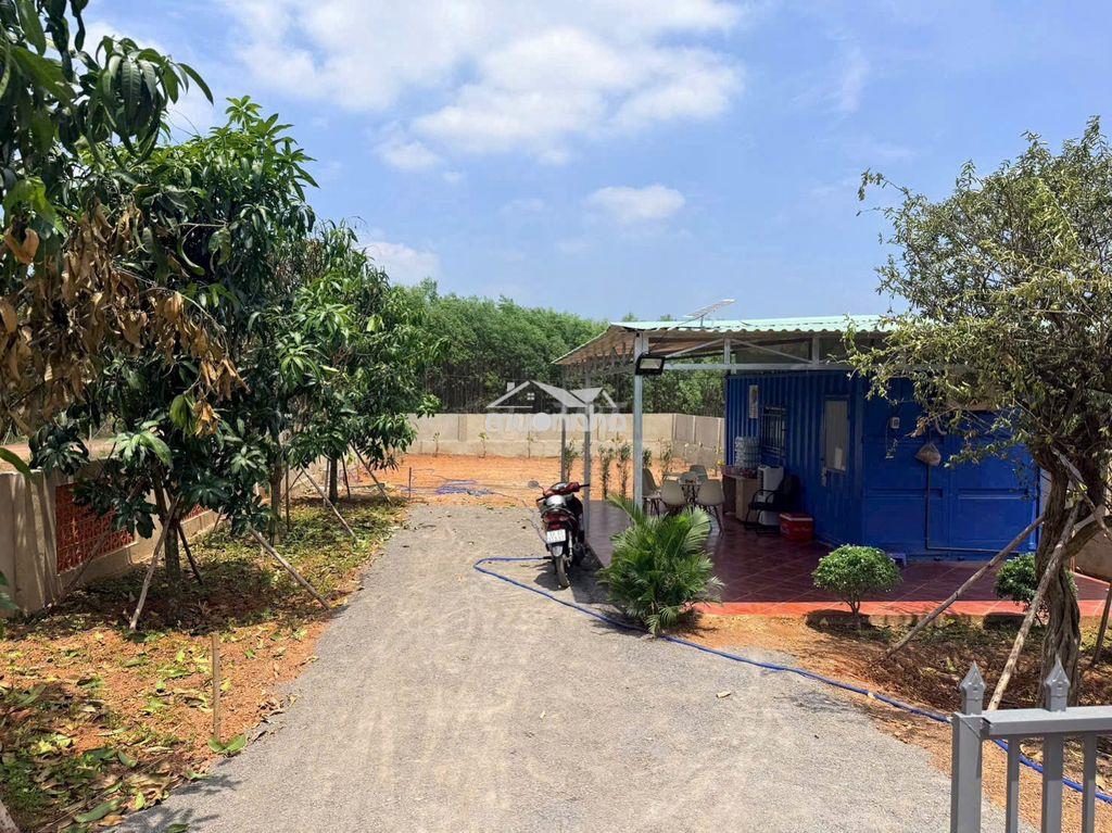 💥 200 triệu sở hữu 455m² trung tâm thị trấn vĩnh an - phường trị an 💥 - 2
