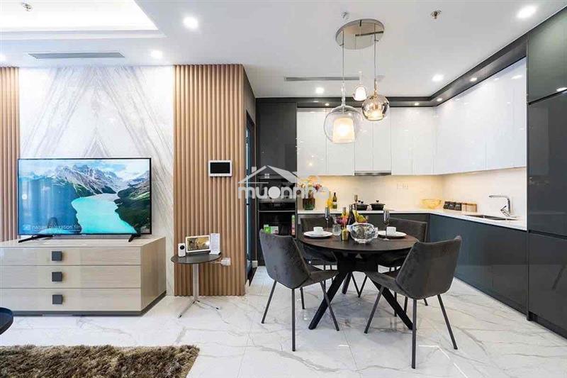 Bán lỗ căn hộ 55m2 2pn sát ql13, metro số 2, 79 tiện ích, voucher 30tr