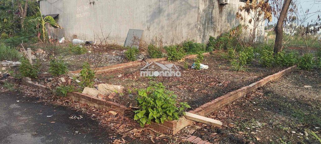 Cần tiền bán gấp đất nền phường trảng dài, đồng nai. - 3
