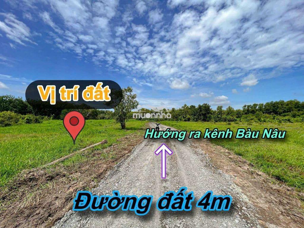 Cần bán đất hiệp thạnh gò dầu tây ninh - 3