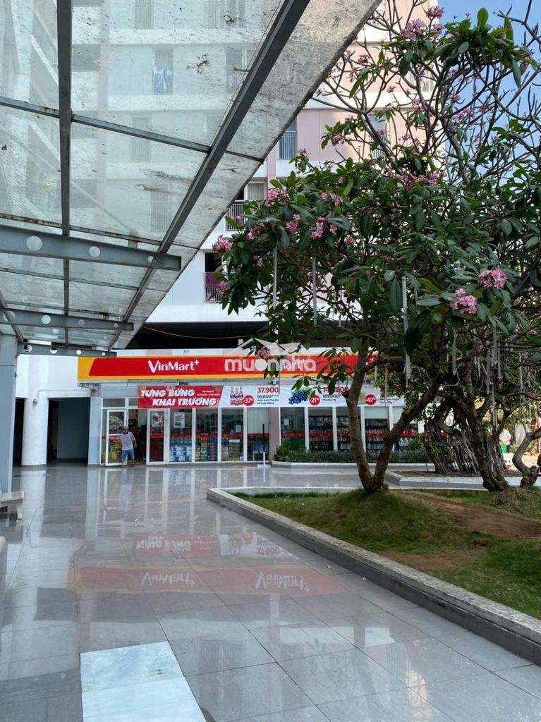 Bán căn hộ kinh doanh đang cho winmart và xưởng vẽ thuê - 2