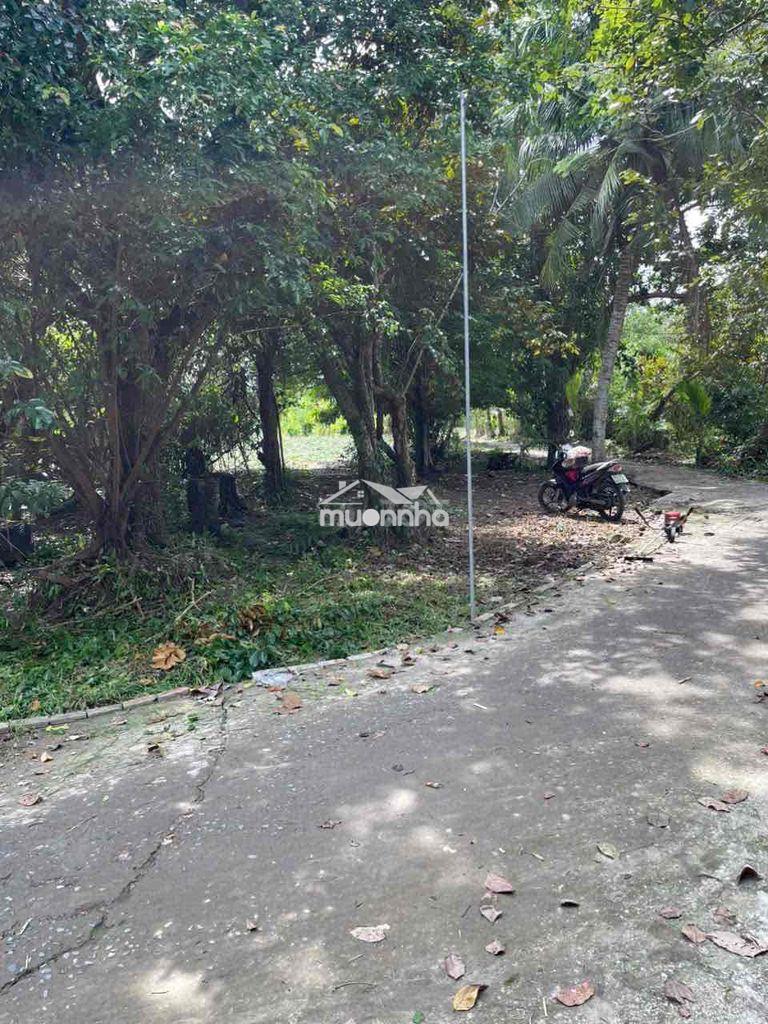 Nền thổ cư giá siêu rẻ gần trung tâm cần thơ - 3