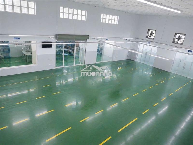❤️ Cho thuê nhà xưởng mặt tiền tân thới hiệp gần ql1a