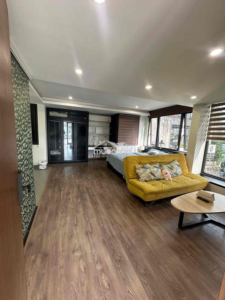 Cho thuê căn hộ studio rộng 50m2 gần lotte, himlam quận 7 - Ảnh 2
